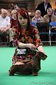 Crufts2011_2 1202